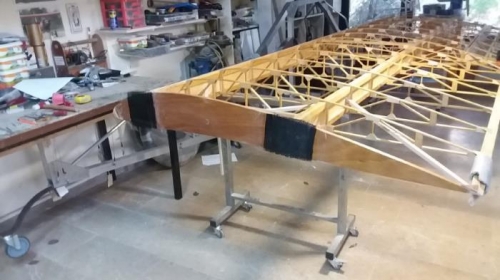 Cf root reinforcements