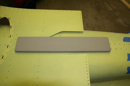 Cargo support tray
