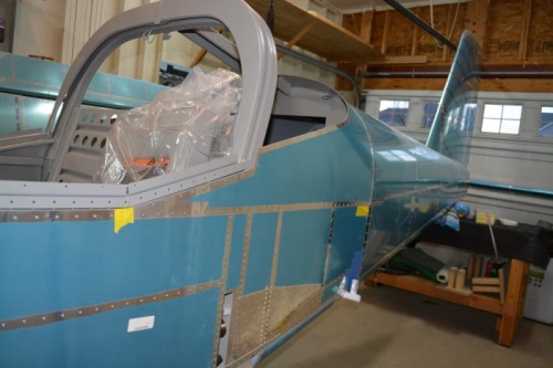 left turtle skin riveted in place