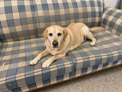On her sofa