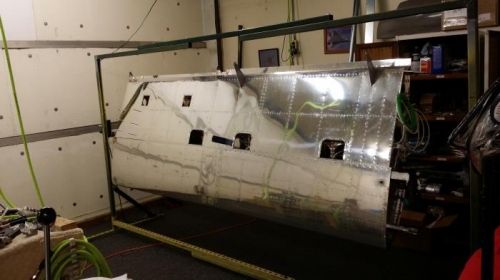 L. wing- bottom side