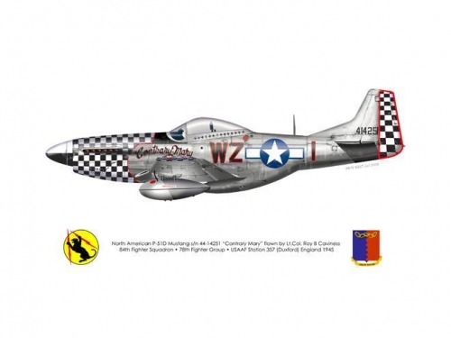 Roy Caviness' P-51D