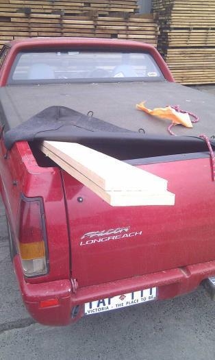 Hoop pine coming home in YAP