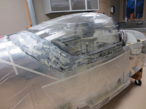 Copilot side canopy skirt