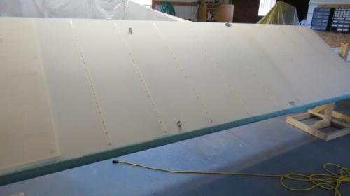 Bottom of right wing