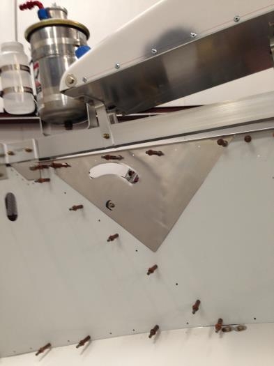 Pylon Inspection Access