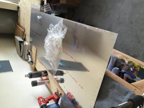 Finally peeled the plasic off wing skins