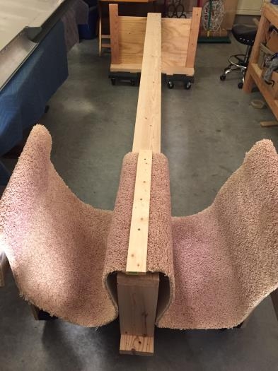 Some old carpet from when we built the house!