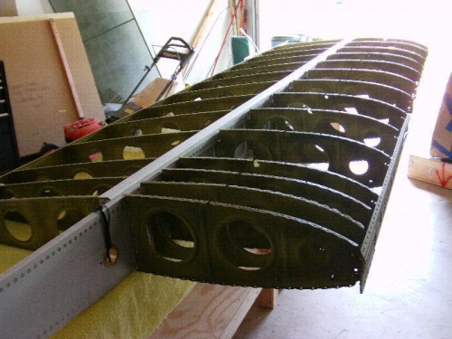 Complete Left Wing Skeleton