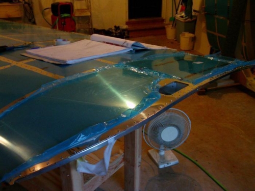 Wing Tip Skins Viewed From Top