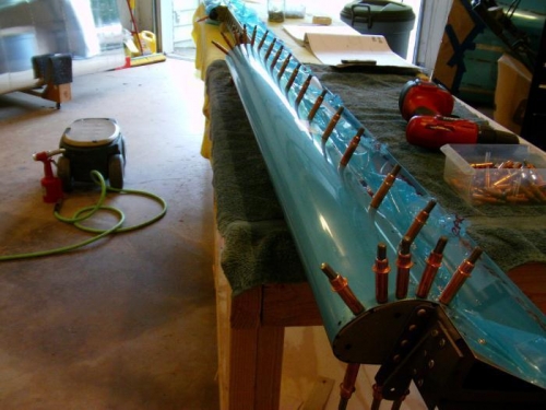 Indb Nose Skin Match Drilled