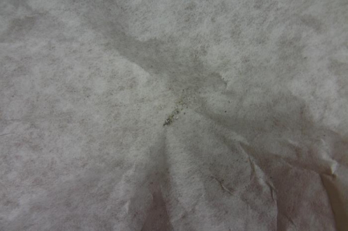 Minor Swarf From Gascolator