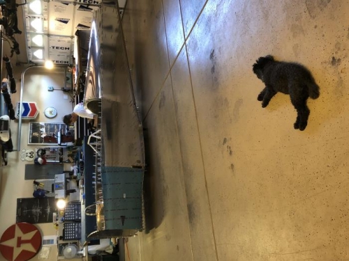 Deburing and Dot is taking adjantage of the cooler garage flor