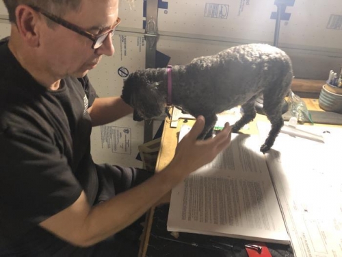 The old lady clawing for attention.