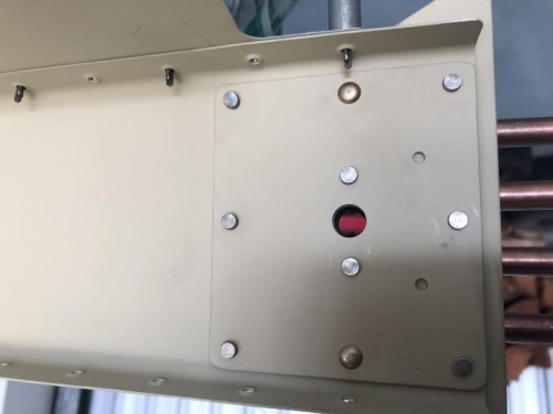 Reinforcement plates and platenuts riveted on spar