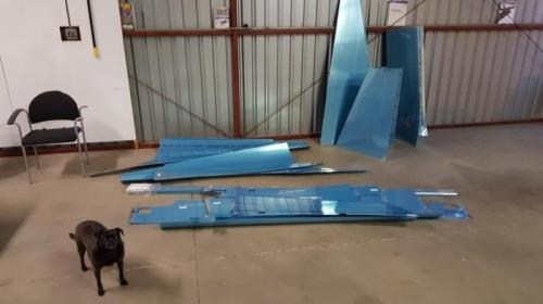 Larger skin pieces guarded by Kona the hangar dog