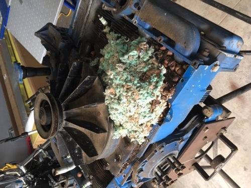 The engine had a huge mouse nest under the blower shroud
