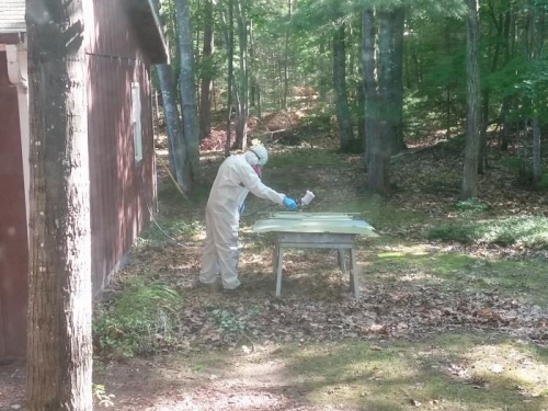 painting the woods green