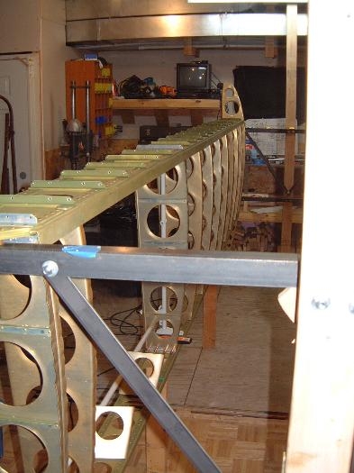 Right wing middle ribs