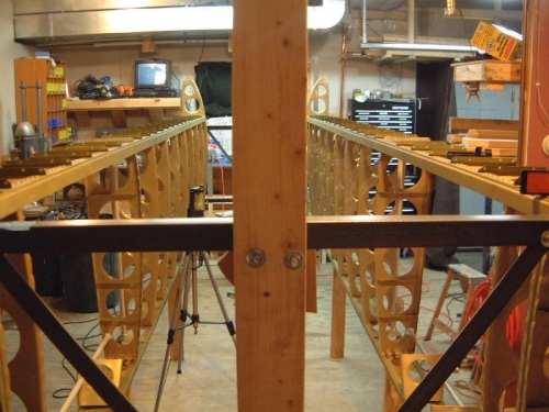 Both wings with middle ribs