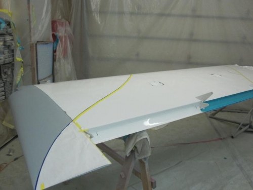 Bottom Wing Tip