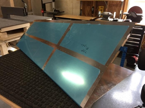 removed coating on skins