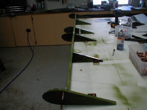 Screwed doen to bench ready for skinning