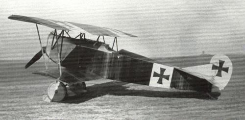 DVII Streaky Fokker Finish