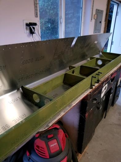 Removed skin for cutout