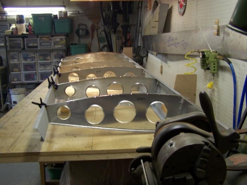 Wing skeleton from outboard (right) side.