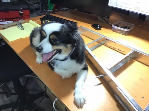 Informal Aircraft Inspection