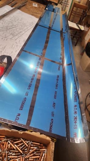 Interior of right skin