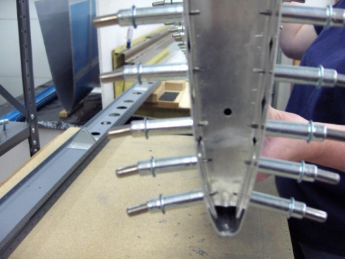 Closeup with skin pulled tight to rib.