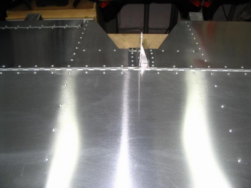 Elevator horn and rudder cutout