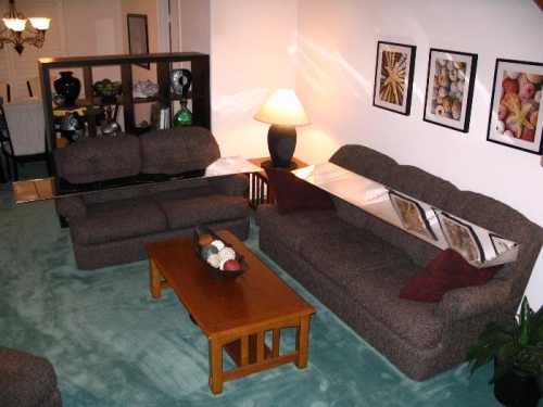The polished flaps relaxing in the living room