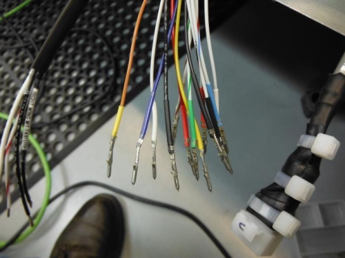 wires terminated with molex pins