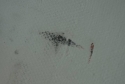 Scuff marks in cowl