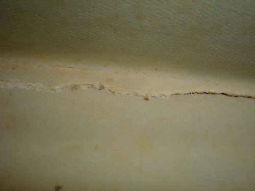 Skin torn