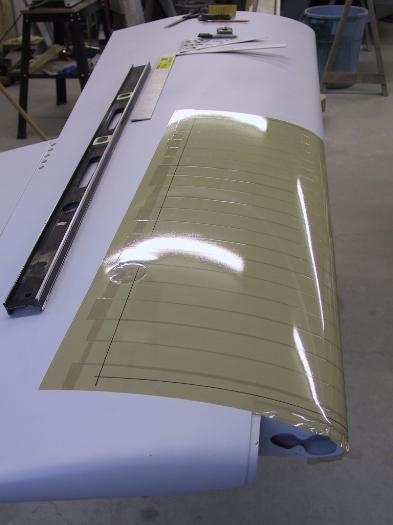 Angier's wing taped