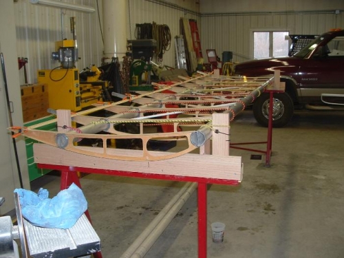 Left wing viewed from front tip end