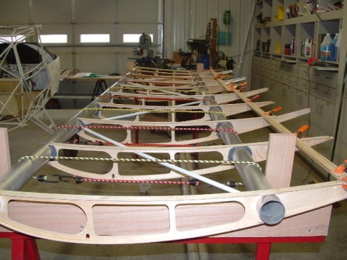 View of left wing from root  end