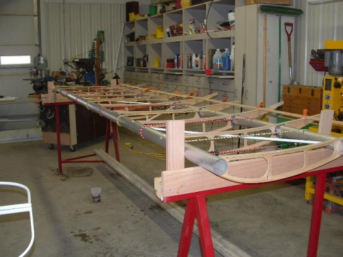 View of left wing from front Root end