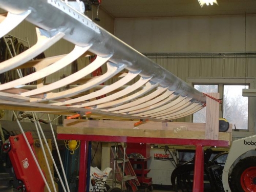 False ribs on left wing