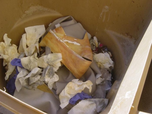 The 'headliner' ended up in the trash can