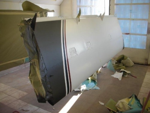 Wings with colors applied