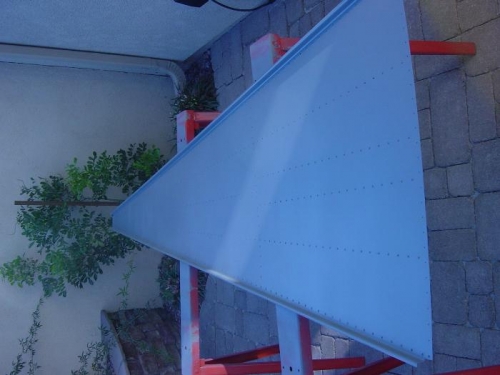 And the skins! (here's the bottom skin)