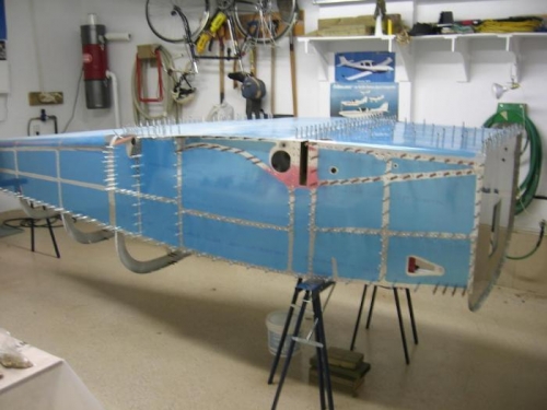 Fusealge left side view