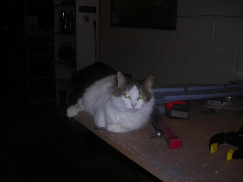 Cookie, the shop cat, supervises the deburring process