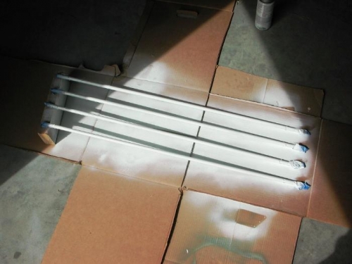 Painting tail struts