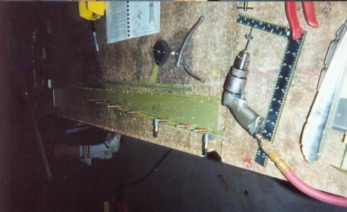 Spine all ready for ribs